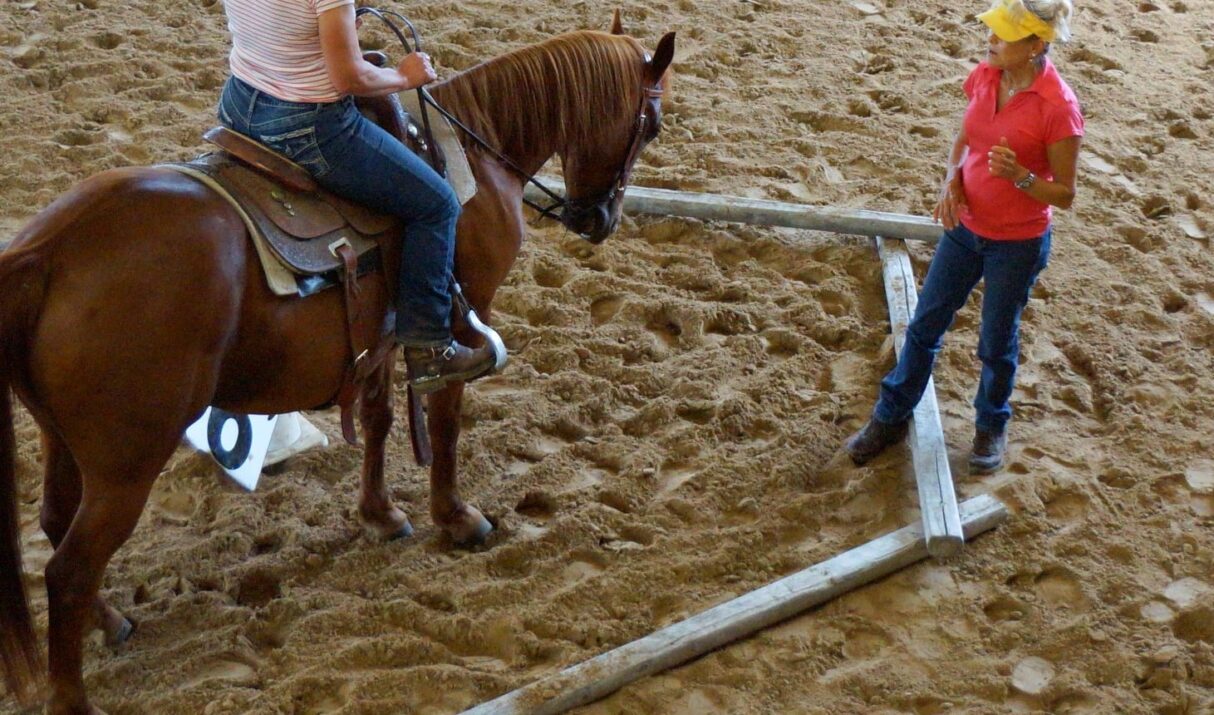 Why I use ground rails in riding lessons.
