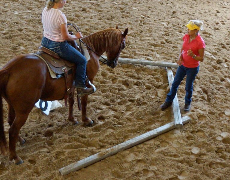 Why I use ground rails in riding lessons.