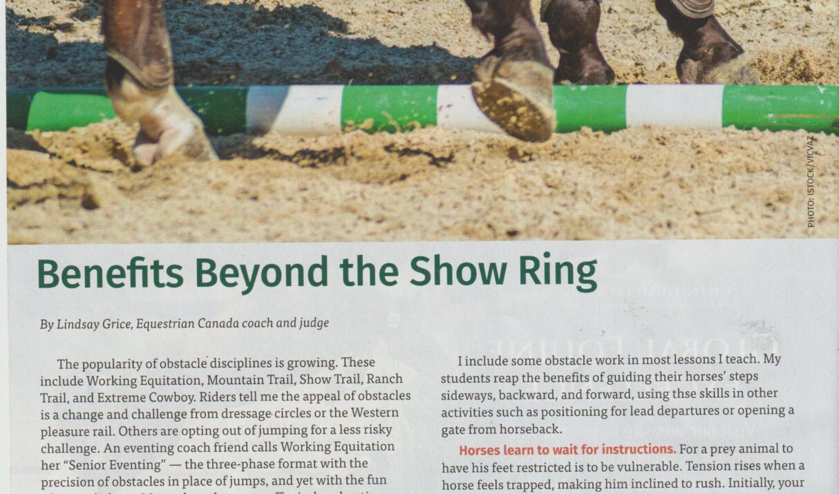 Side pass and backing obstacles: benefits beyond the show ring. Part 1