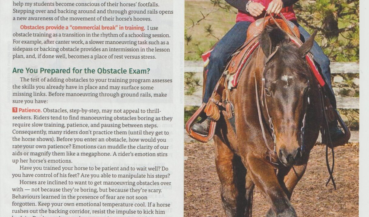 Side pass and backing obstacles: benefits beyond the show ring. Part 2