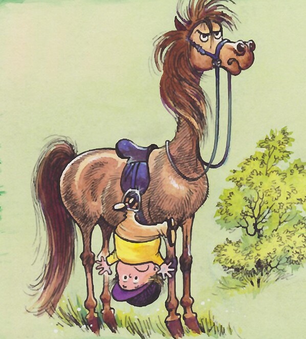 Falling off a horse, landing on my feet and other Thanksgiving Graces