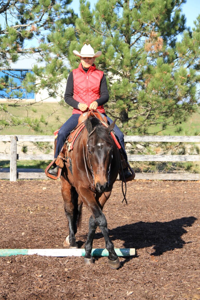 Navigating obstacles – more merits of focusing on your horse’s footwork