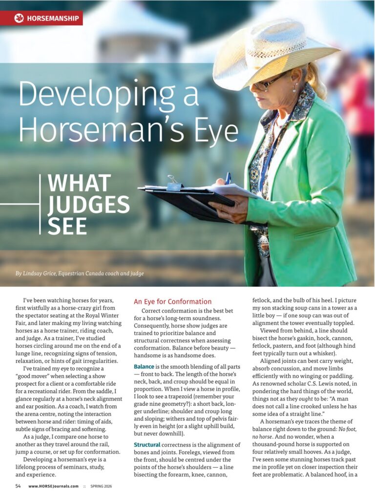 Developing a horseman’s eye. Part 1