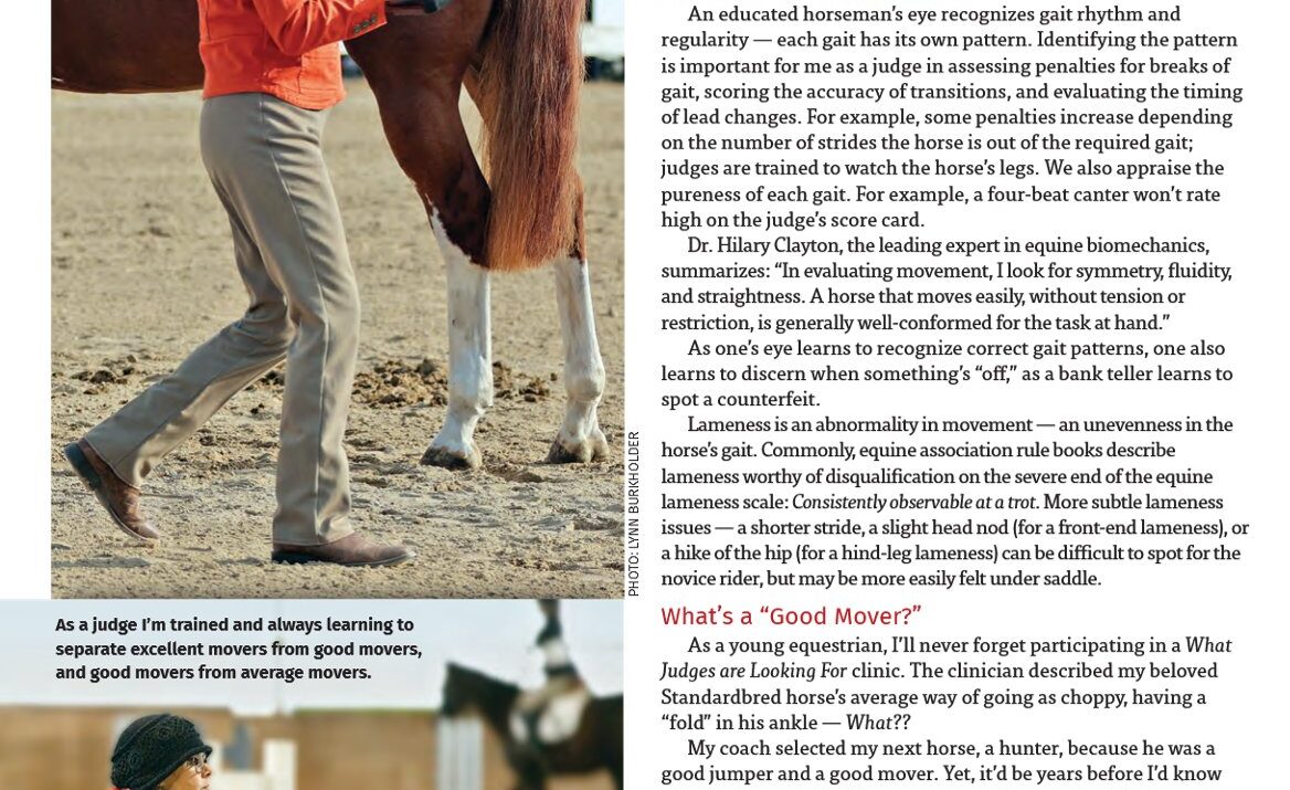 Developing a horseman’s eye. Part 3