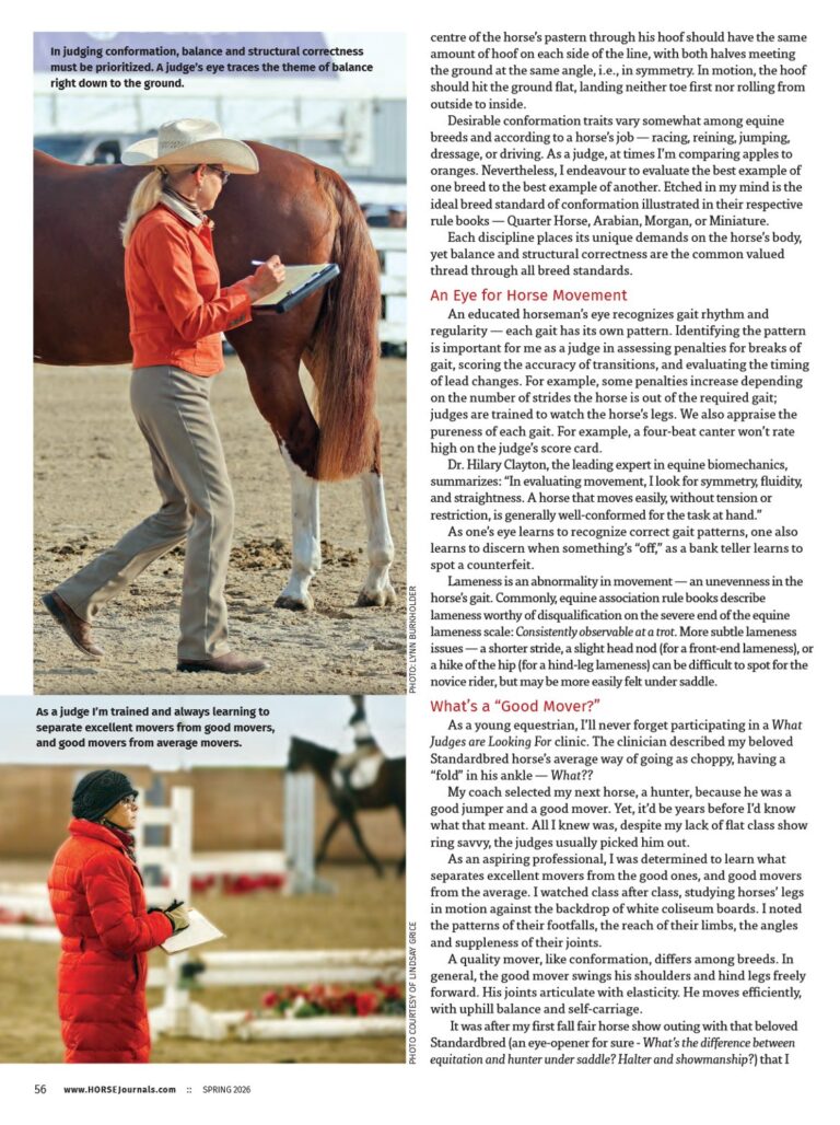 Developing a horseman’s eye. Part 3