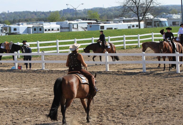 Horse show setback? Rebuilding horse training piece by piece.
